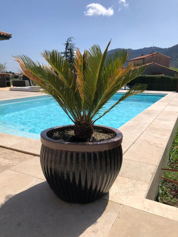 Domaine Mas Terra Bed & Breakfast Saint-Paul-de-Fenouillet Exterior foto