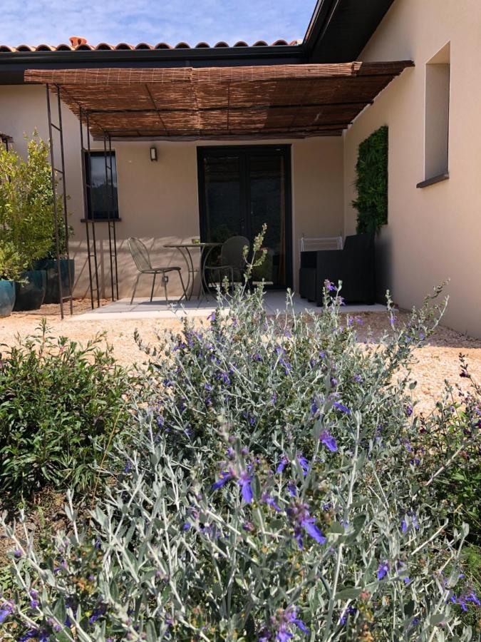 Domaine Mas Terra Bed & Breakfast Saint-Paul-de-Fenouillet Exterior foto